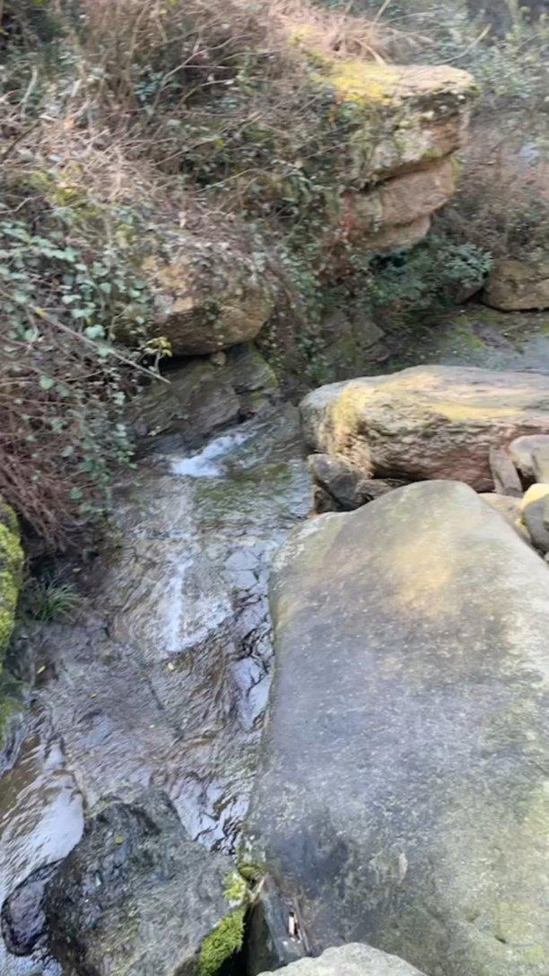 逃离废弃自然公园